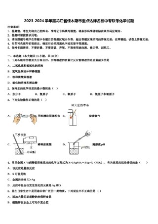 2023-2024学年黑龙江省佳木斯市重点达标名校中考联考化学试题含解析.doc