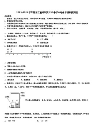 2023-2024学年黑龙江省哈尔滨156中学中考化学模拟预测题含解析.doc