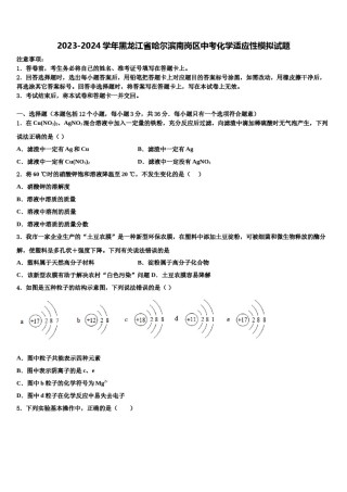2023-2024学年黑龙江省哈尔滨南岗区中考化学适应性模拟试题含解析.doc
