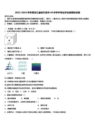 2023-2024学年黑龙江省哈尔滨市49中学中考化学全真模拟试卷含解析.doc