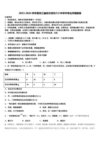 2023-2024学年黑龙江省哈尔滨市六十中学中考化学猜题卷含解析.doc