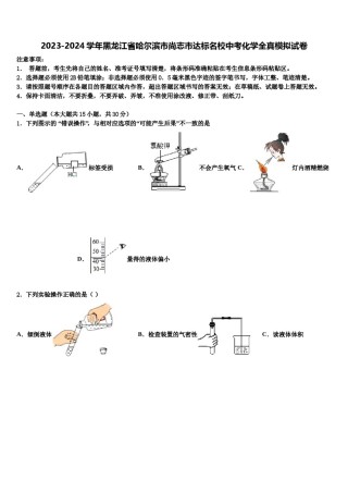 2023-2024学年黑龙江省哈尔滨市尚志市达标名校中考化学全真模拟试卷含解析.doc