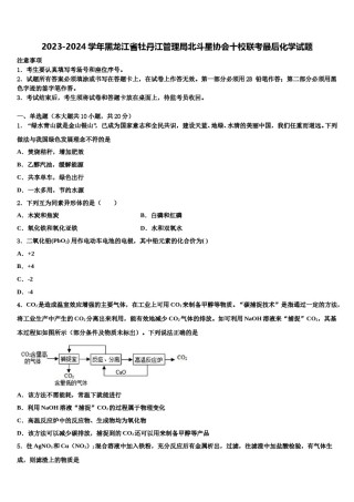 2023-2024学年黑龙江省牡丹江管理局北斗星协会十校联考最后化学试题含解析.doc