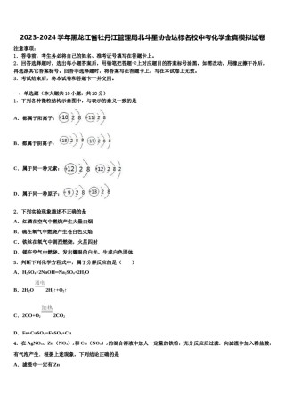 2023-2024学年黑龙江省牡丹江管理局北斗星协会达标名校中考化学全真模拟试卷含解析.doc