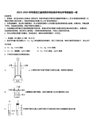 2023-2024学年黑龙江省鸡西市鸡东县中考化学考前最后一卷含解析.doc