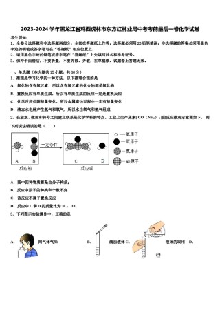 2023-2024学年黑龙江省鸡西虎林市东方红林业局中考考前最后一卷化学试卷含解析.doc