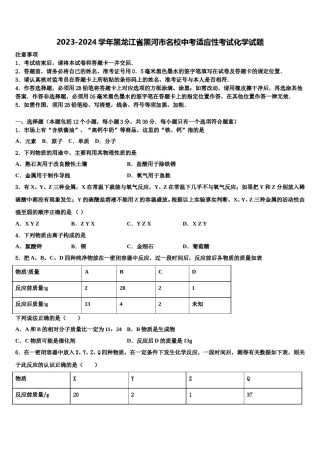2023-2024学年黑龙江省黑河市名校中考适应性考试化学试题含解析.doc