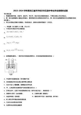 2023-2024学年黑龙江省齐齐哈尔市五县中考化学全真模拟试题含解析.doc