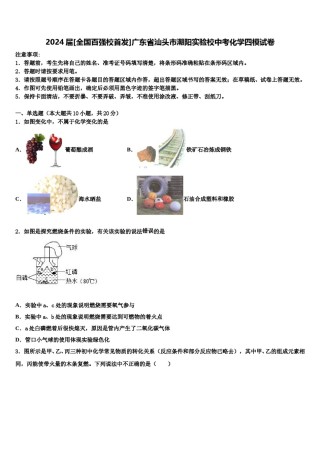 2024届[全国百强校首发]广东省汕头市潮阳实验校中考化学四模试卷含解析.doc
