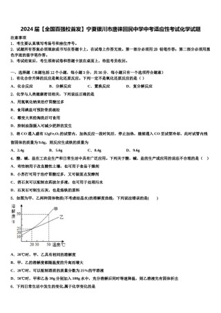2024届【全国百强校首发】宁夏银川市唐徕回民中学中考适应性考试化学试题含解析.doc