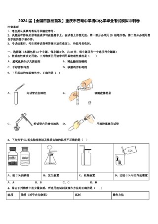 2024届【全国百强校首发】重庆市巴蜀中学初中化学毕业考试模拟冲刺卷含解析.doc