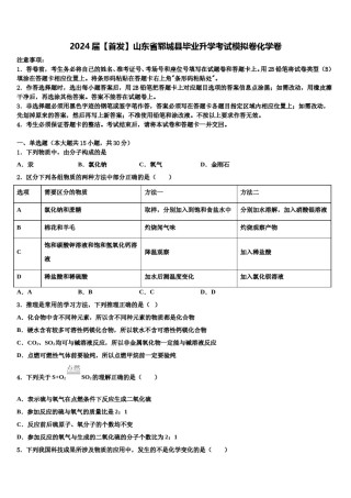 2024届【首发】山东省郓城县毕业升学考试模拟卷化学卷含解析.doc