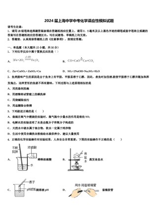 2024届上海中学中考化学适应性模拟试题含解析.doc