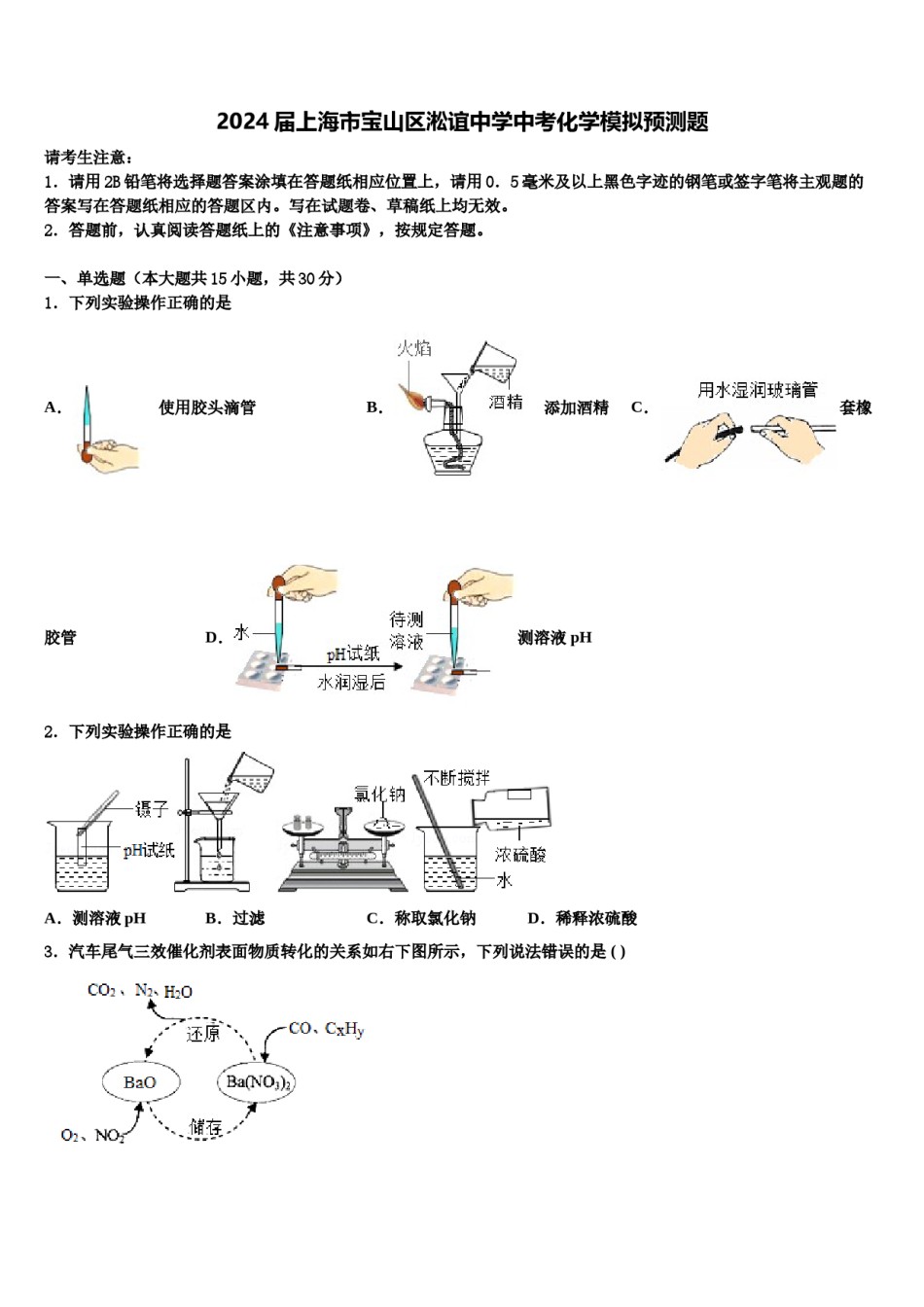 2024届上海市宝山区淞谊中学中考化学模拟预测题含解析.doc_第1页