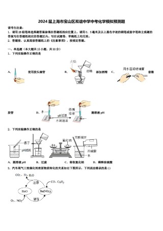 2024届上海市宝山区淞谊中学中考化学模拟预测题含解析.doc