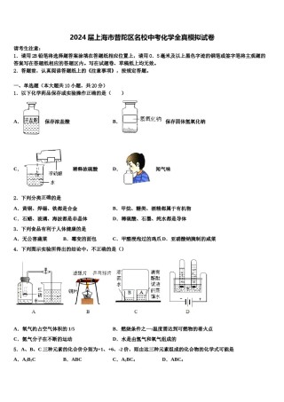 2024届上海市普陀区名校中考化学全真模拟试卷含解析.doc