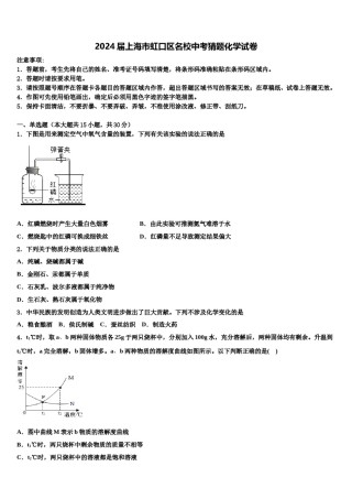 2024届上海市虹口区名校中考猜题化学试卷含解析.doc