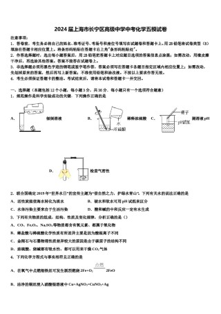 2024届上海市长宁区高级中学中考化学五模试卷含解析.doc
