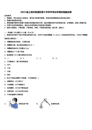 2024届上海市黄浦区第十中学中考化学模拟精编试卷含解析.doc