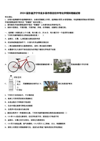 2024届东省济宁市金乡县市级名校中考化学模拟精编试卷含解析.doc