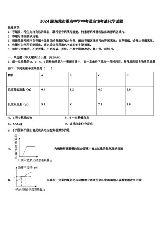 2024届东莞市重点中学中考适应性考试化学试题含解析.doc