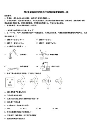 2024届临沂市达标名校中考化学考前最后一卷含解析.doc