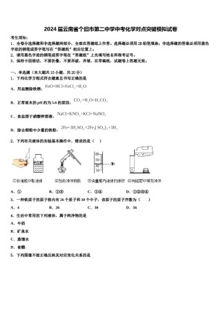 2024届云南省个旧市第二中学中考化学对点突破模拟试卷含解析.doc