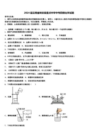 2024届云南省姚安县重点中学中考四模化学试题含解析.doc