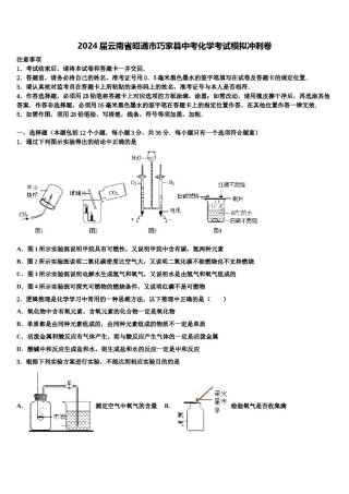 2024届云南省昭通市巧家县中考化学考试模拟冲刺卷含解析.doc