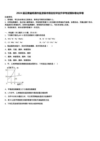 2024届云南省昭通市盐津县市级名校毕业升学考试模拟卷化学卷含解析.doc