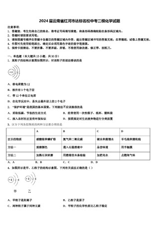 2024届云南省红河市达标名校中考二模化学试题含解析.doc