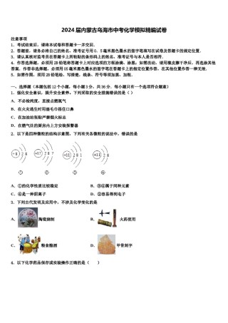 2024届内蒙古乌海市中考化学模拟精编试卷含解析.doc