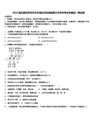 2024届内蒙古呼伦贝尔市海拉尔区铁路第三中学中考化学最后一模试卷含解析.doc