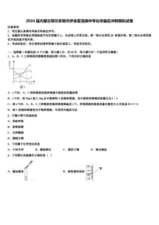 2024届内蒙古鄂尔多斯市伊金霍洛旗中考化学最后冲刺模拟试卷含解析.doc