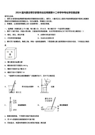 2024届内蒙古鄂尔多斯市达拉特旗第十二中学中考化学仿真试卷含解析.doc
