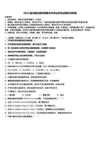 2024届内蒙古霍林郭勒市中考化学考试模拟冲刺卷含解析.doc