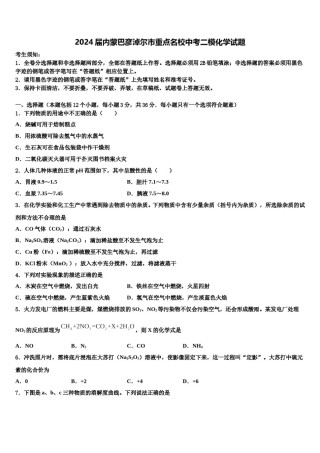 2024届内蒙巴彦淖尔市重点名校中考二模化学试题含解析.doc