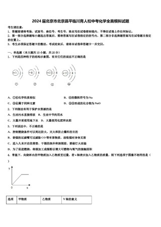 2024届北京市北京昌平临川育人校中考化学全真模拟试题含解析.doc