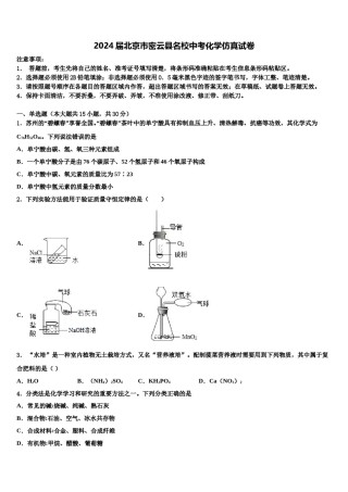 2024届北京市密云县名校中考化学仿真试卷含解析.doc