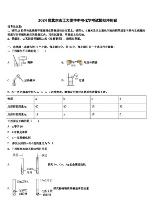 2024届北京市工大附中中考化学考试模拟冲刺卷含解析.doc