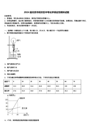 2024届北京市延庆区中考化学适应性模拟试题含解析.doc