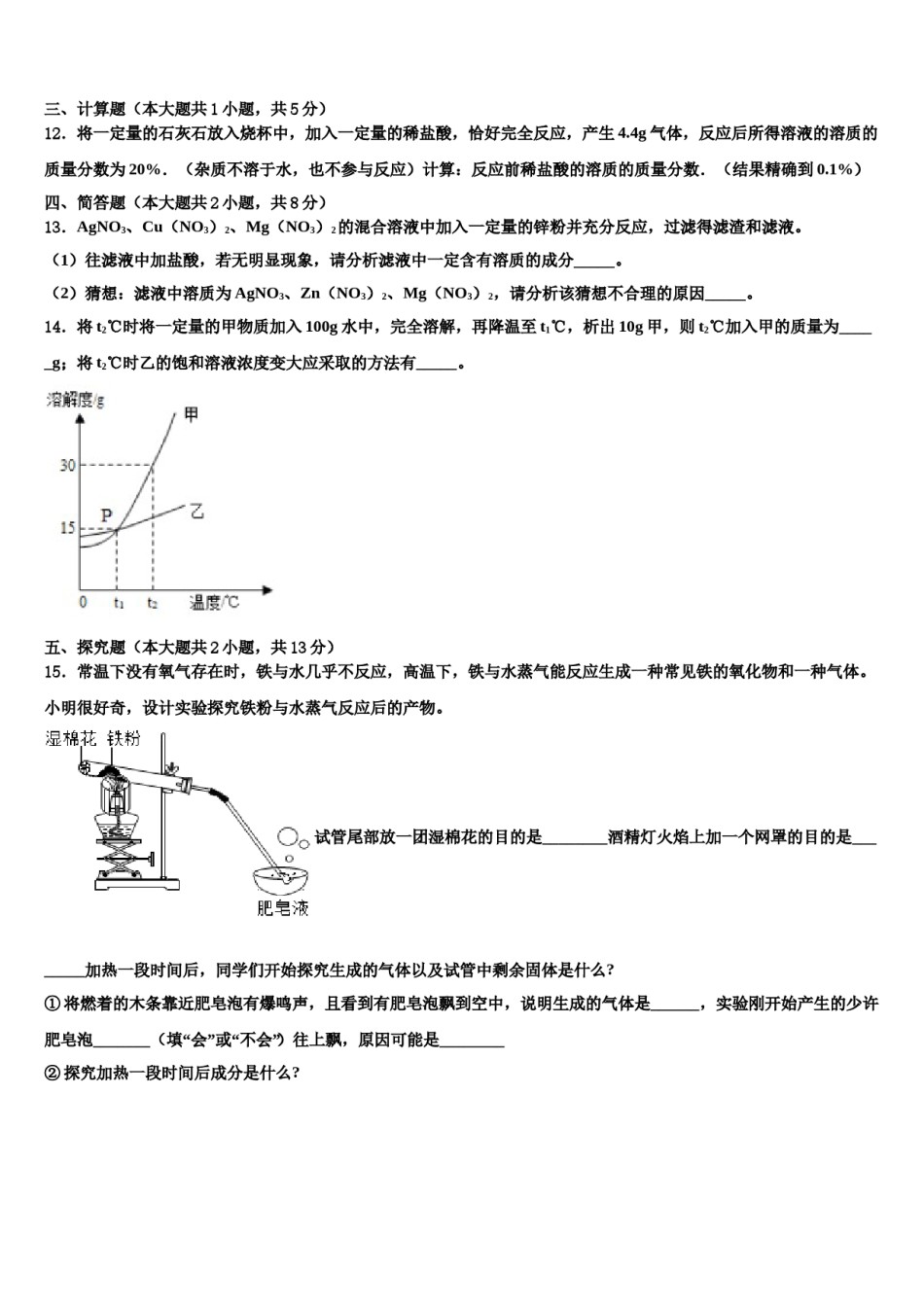 2024届北京市昌平区新道临川校中考五模化学试题含解析.doc_第3页