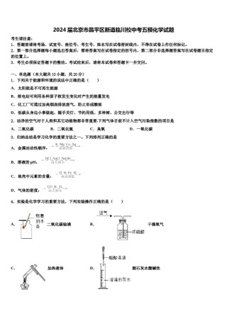 2024届北京市昌平区新道临川校中考五模化学试题含解析.doc