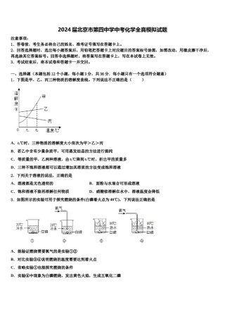 2024届北京市第四中学中考化学全真模拟试题含解析.doc