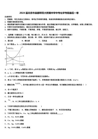 2024届北京市首都师范大附属中学中考化学考前最后一卷含解析.doc