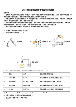 2024届北京师大附中中考二模化学试题含解析.doc