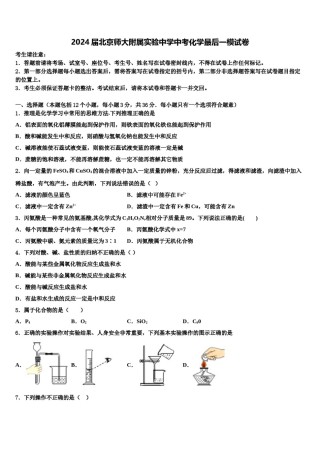 2024届北京师大附属实验中学中考化学最后一模试卷含解析.doc