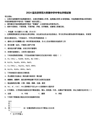 2024届北京师范大附属中学中考化学模试卷含解析.doc
