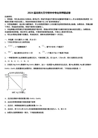 2024届北师大万宁附中中考化学押题试卷含解析.doc