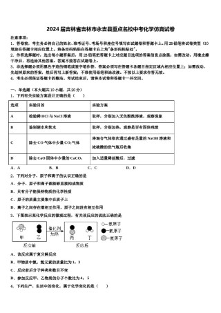 2024届吉林省吉林市永吉县重点名校中考化学仿真试卷含解析.doc